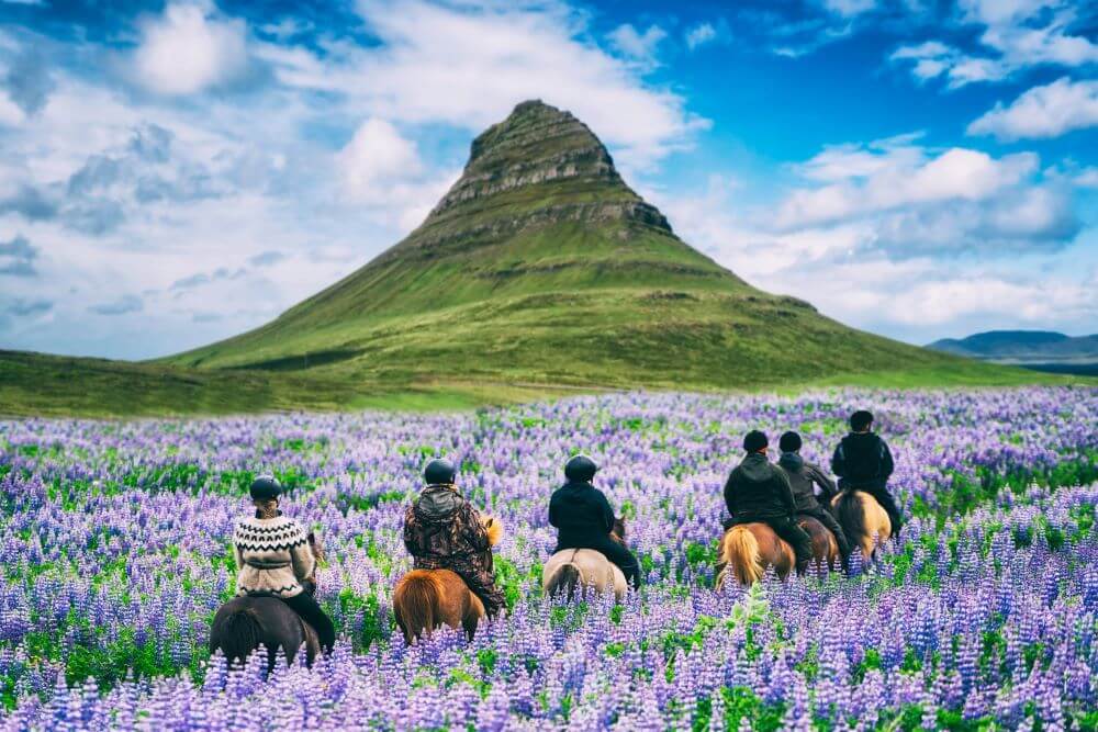 THE ULTIMATE GUIDE TO OUTDOOR ACTIVITIES IN ICELAND  - Horses