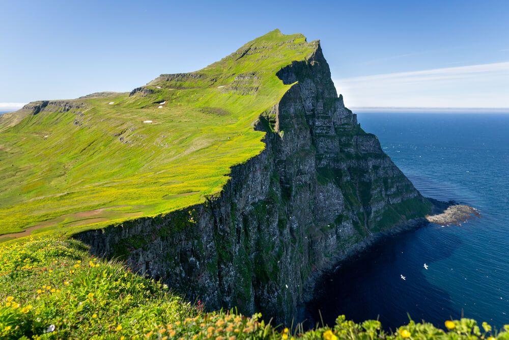 High sea cliffs at Iceland Westfjords