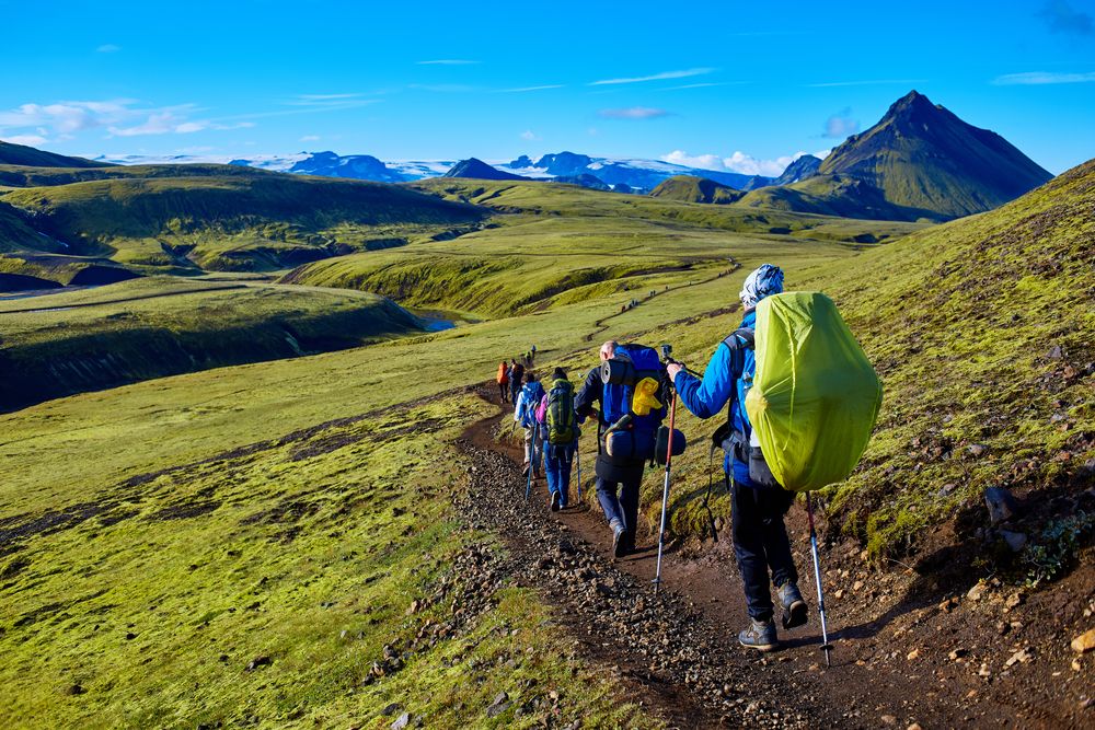 Group of hikers trekking through the vibrant green hills of the Laugavegur trail in the Icelandic Highlands under a clear blue sky.