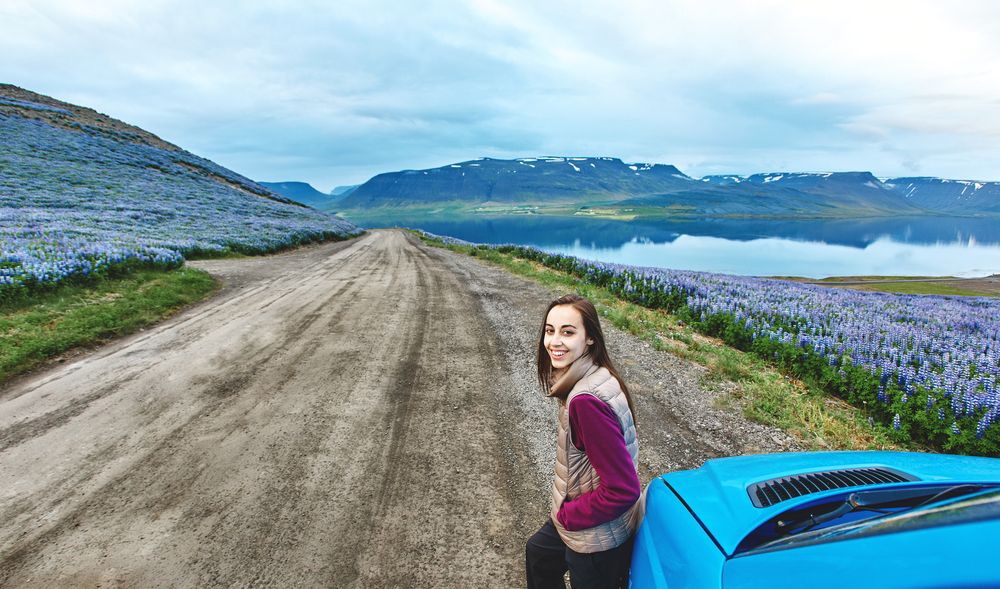 Woman standing next to a blue rental car on a scenic gravel road in Iceland, surrounded by blooming lupines and fjord views.